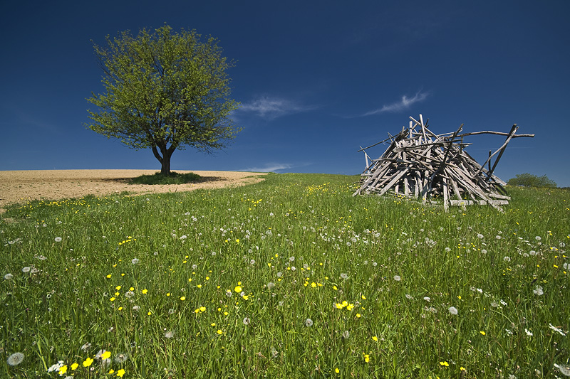 photo "spring meetings..." tags: landscape, spring