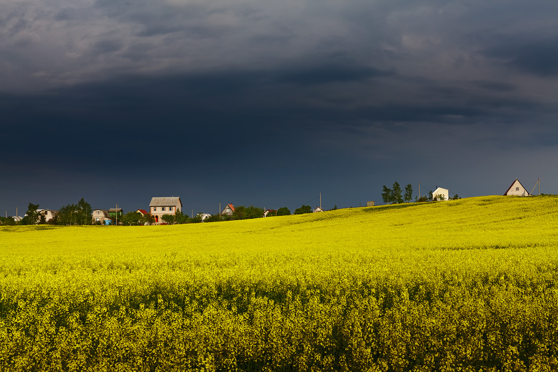 photo "***" tags: landscape, 