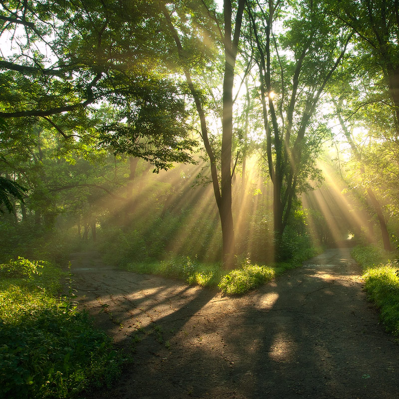 photo "***" tags: landscape, summer