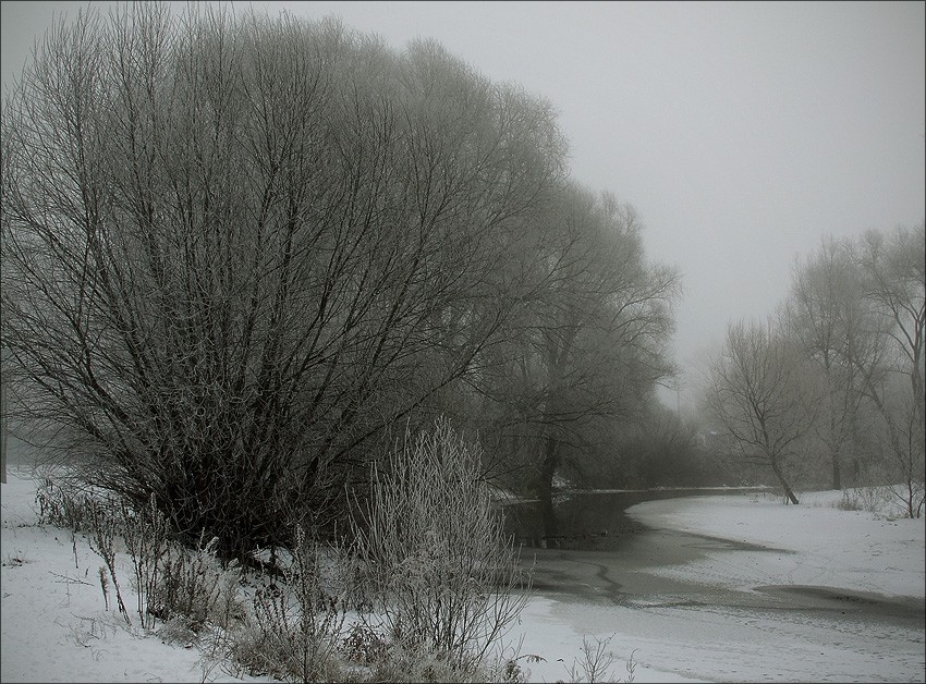 photo "***" tags: nature, landscape, winter