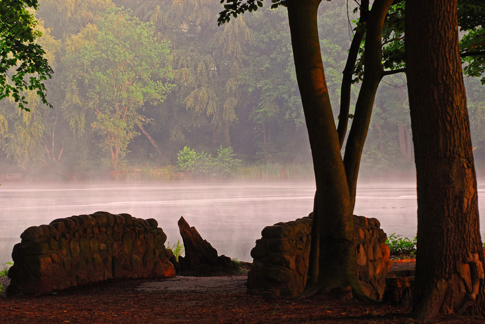 photo "beautyful fog" tags: landscape, sunset, water
