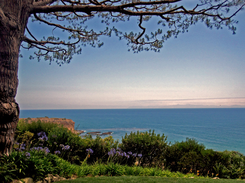 photo "The Pacific" tags: landscape, 