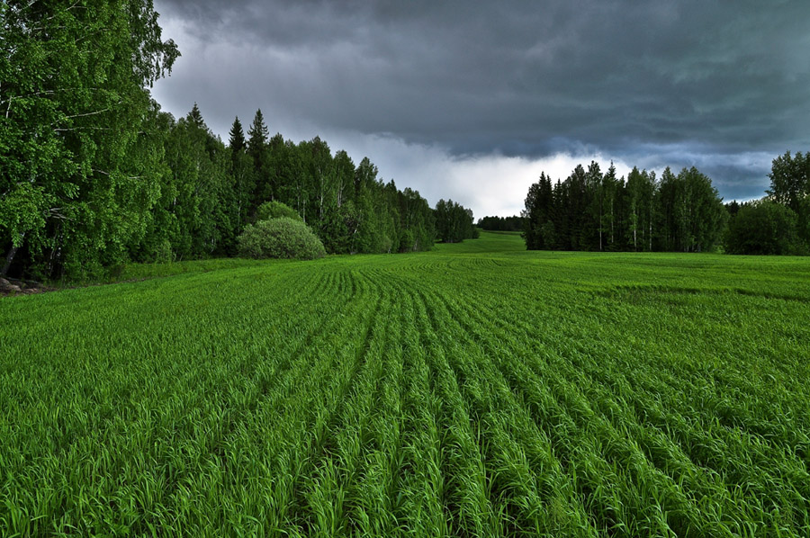 photo "***" tags: landscape, summer