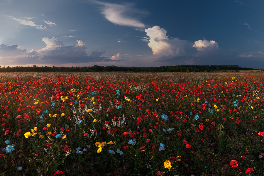 photo "***" tags: landscape, summer