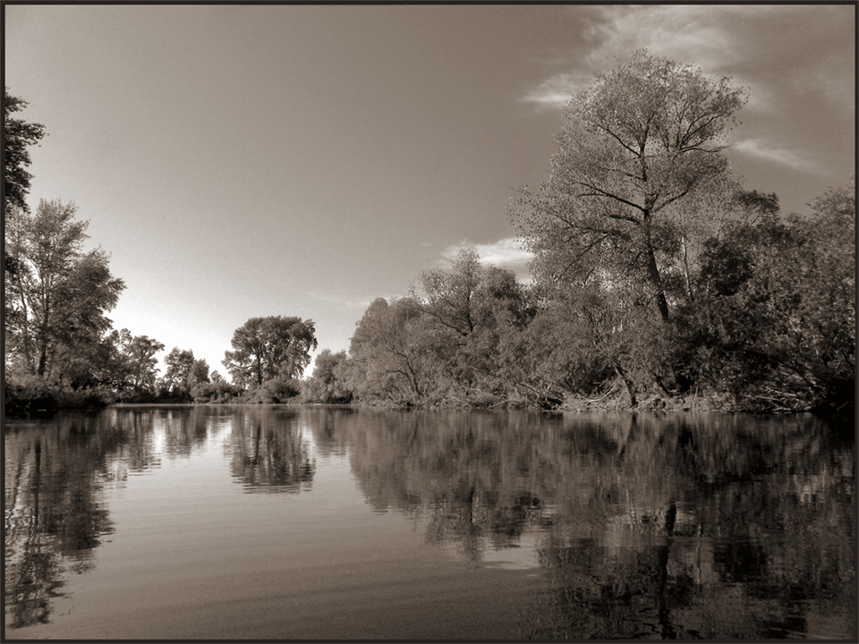 photo "***" tags: landscape, black&white, water