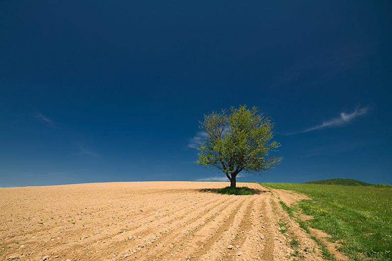 photo "***" tags: landscape, summer