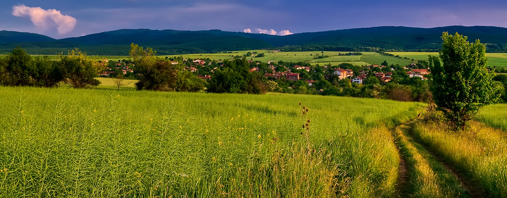 photo "Morning in the village" tags: landscape, summer