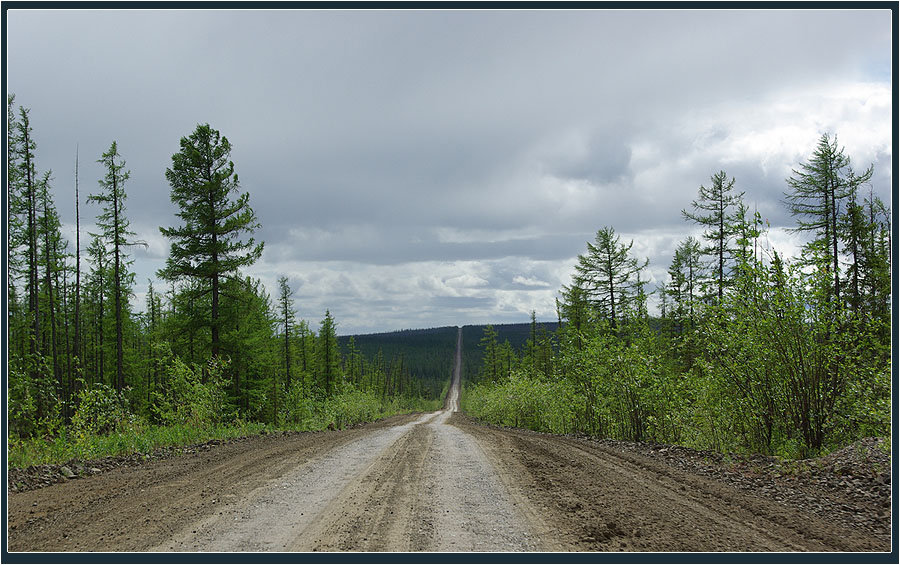 photo "***" tags: landscape, forest, summer