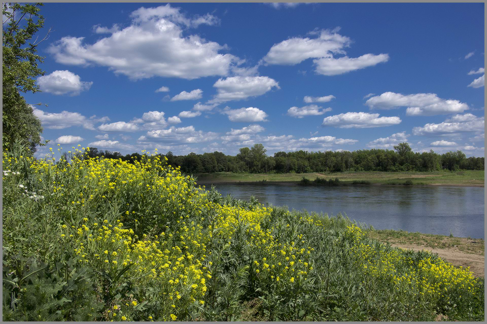 photo "***" tags: landscape, summer