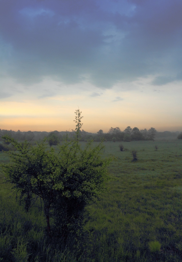 фото "Дождливое утро" метки: пейзаж, закат