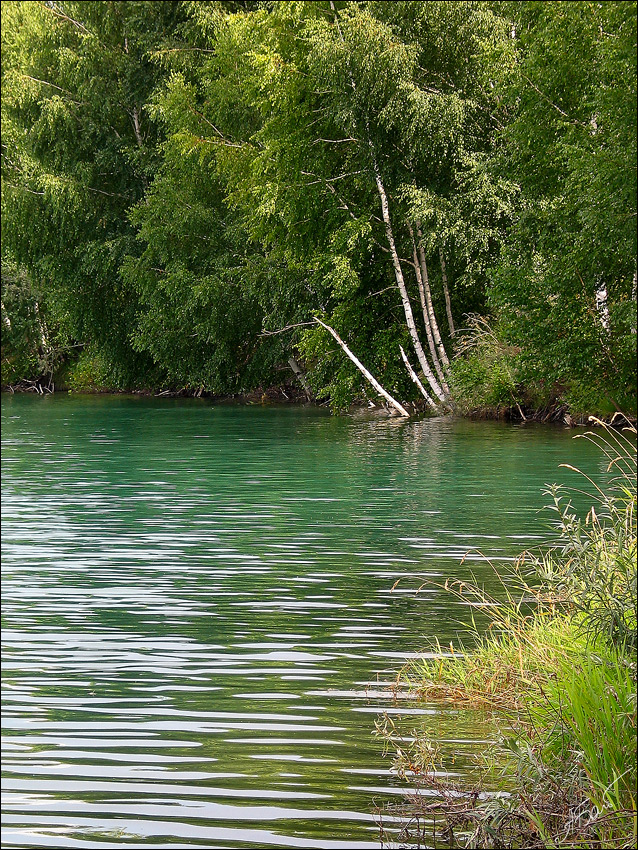 photo "[XLII]" tags: landscape, summer, water