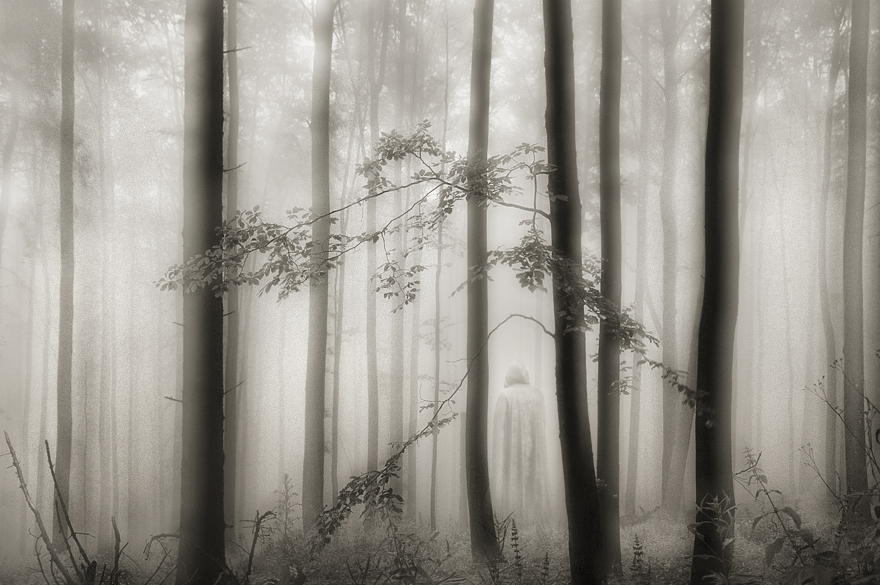 photo "nebelleben I" tags: landscape, black&white, forest