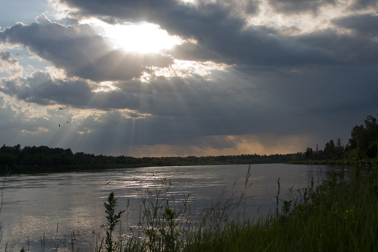 photo "evening light" tags: landscape, summer, water