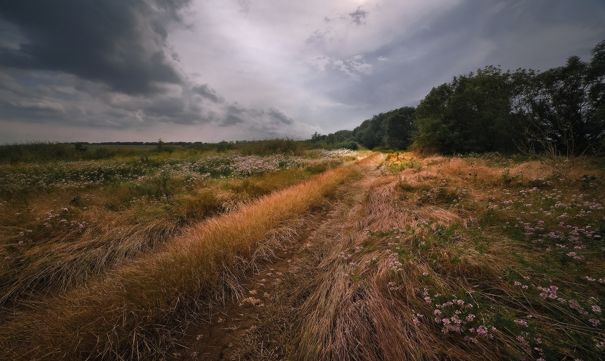 photo "***" tags: landscape, summer