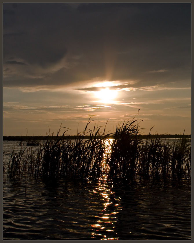 photo "The Solar track." tags: landscape, summer, water