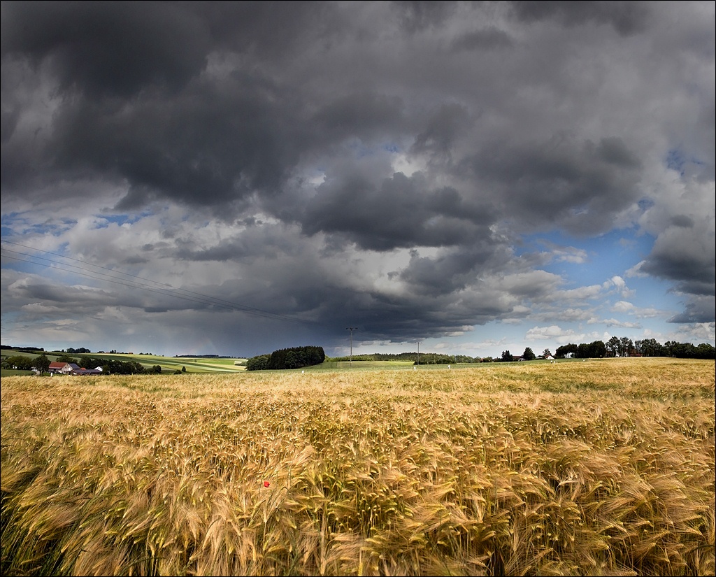 photo "Before it rains" tags: landscape, 