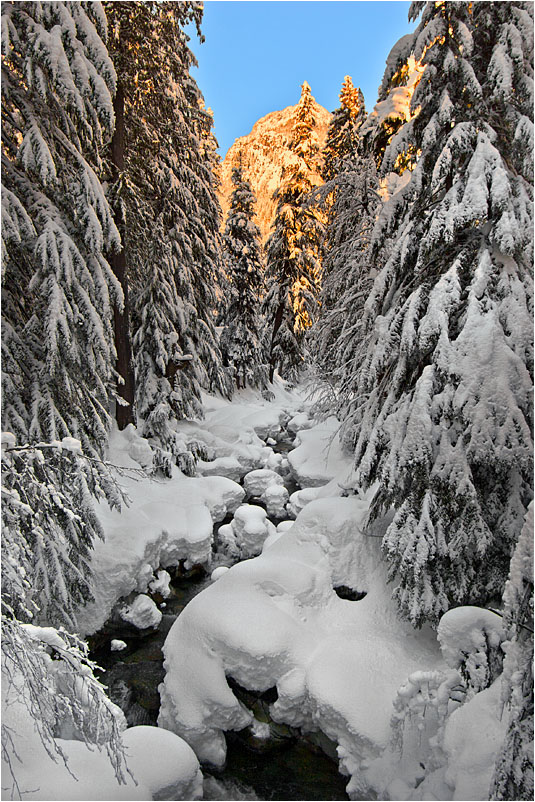 фото "Золотой закат" метки: пейзаж, закат, зима