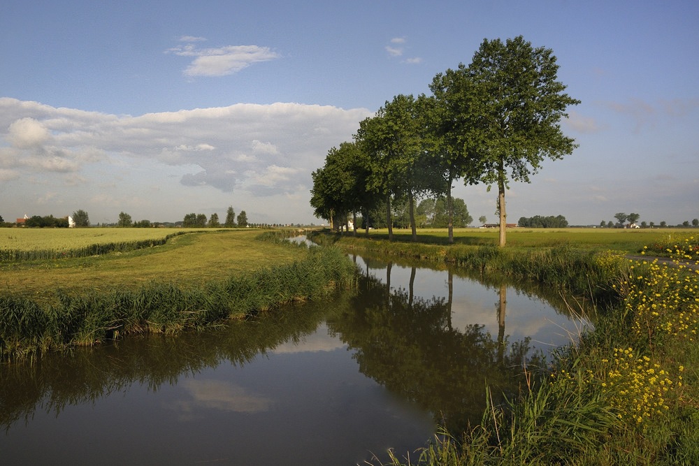 photo "***" tags: landscape, summer