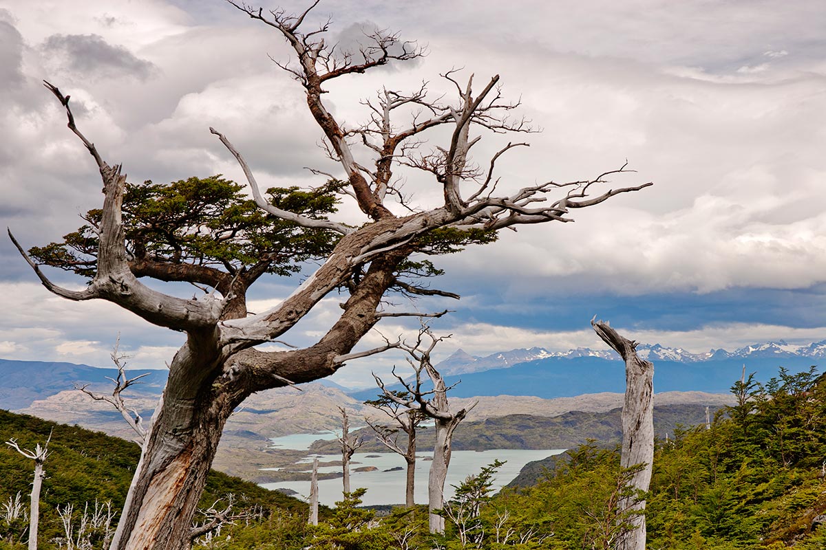 photo "Largo Nordenskjold" tags: landscape, travel, South America