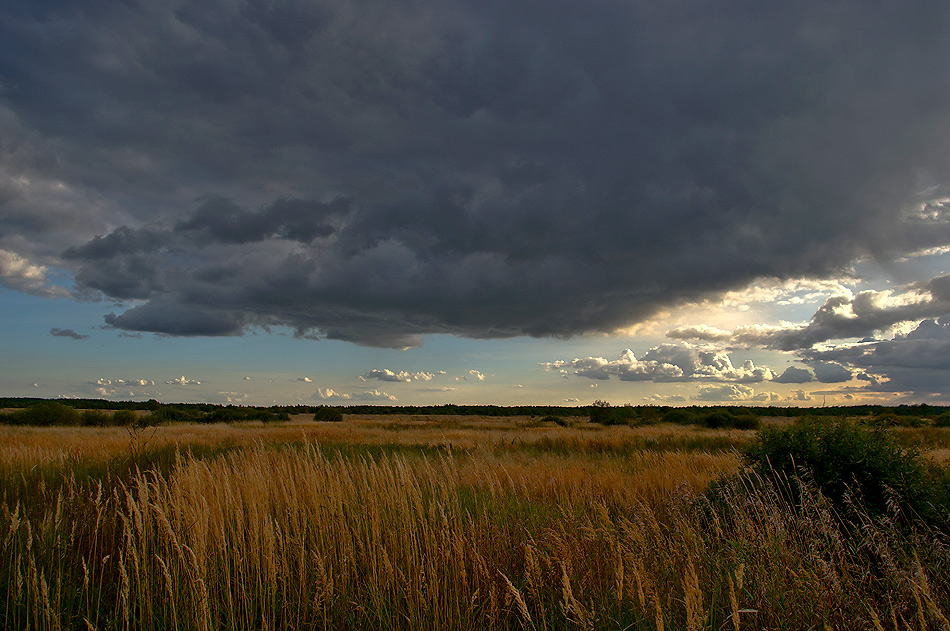 photo "***" tags: , 