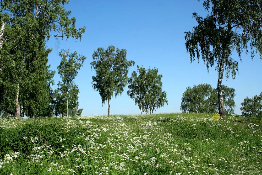 photo "***" tags: landscape, summer