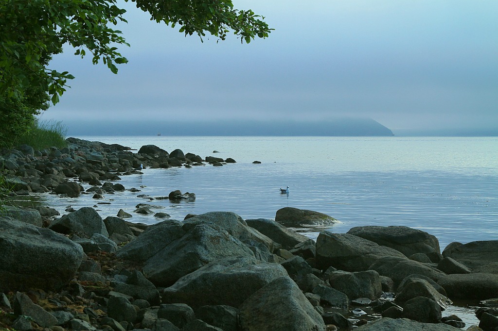 фото "Туман над морем" метки: пейзаж, вода