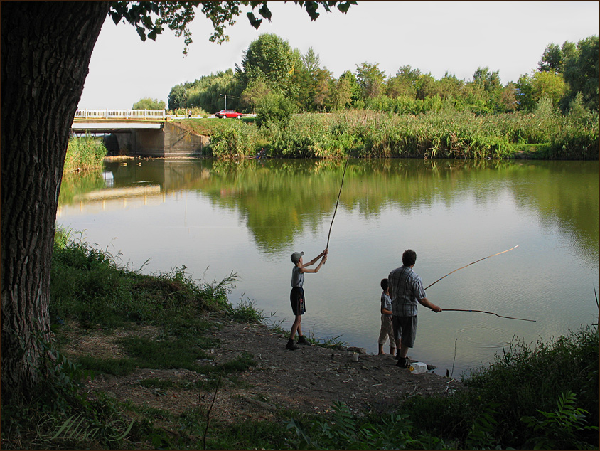 photo "Summer." tags: landscape, people, summer