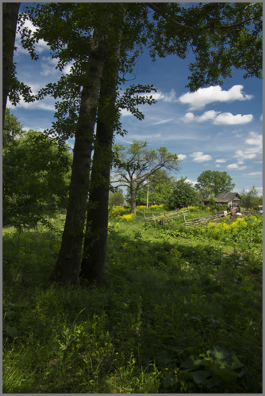 photo "***" tags: landscape, summer