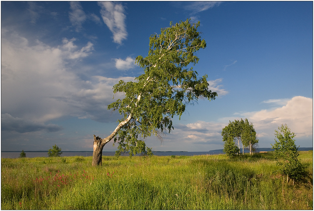 photo "To spite of destiny" tags: landscape, clouds, summer