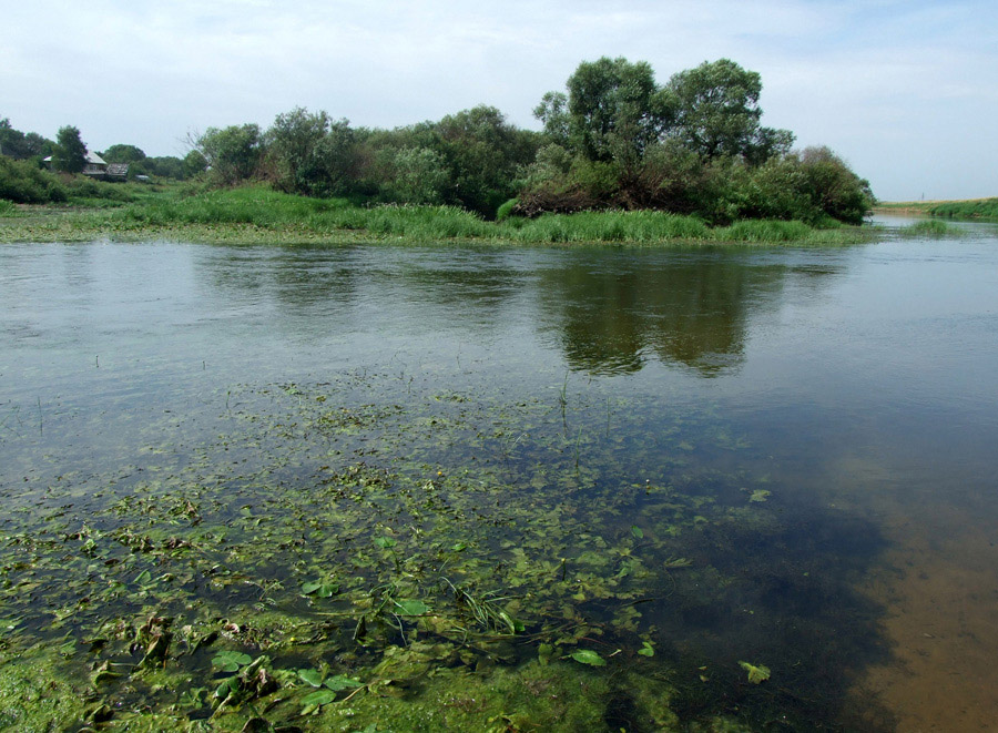 фото "***" метки: пейзаж, вода, лето