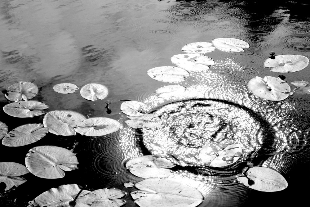 фото "circles on the water" метки: пейзаж, черно-белые, вода