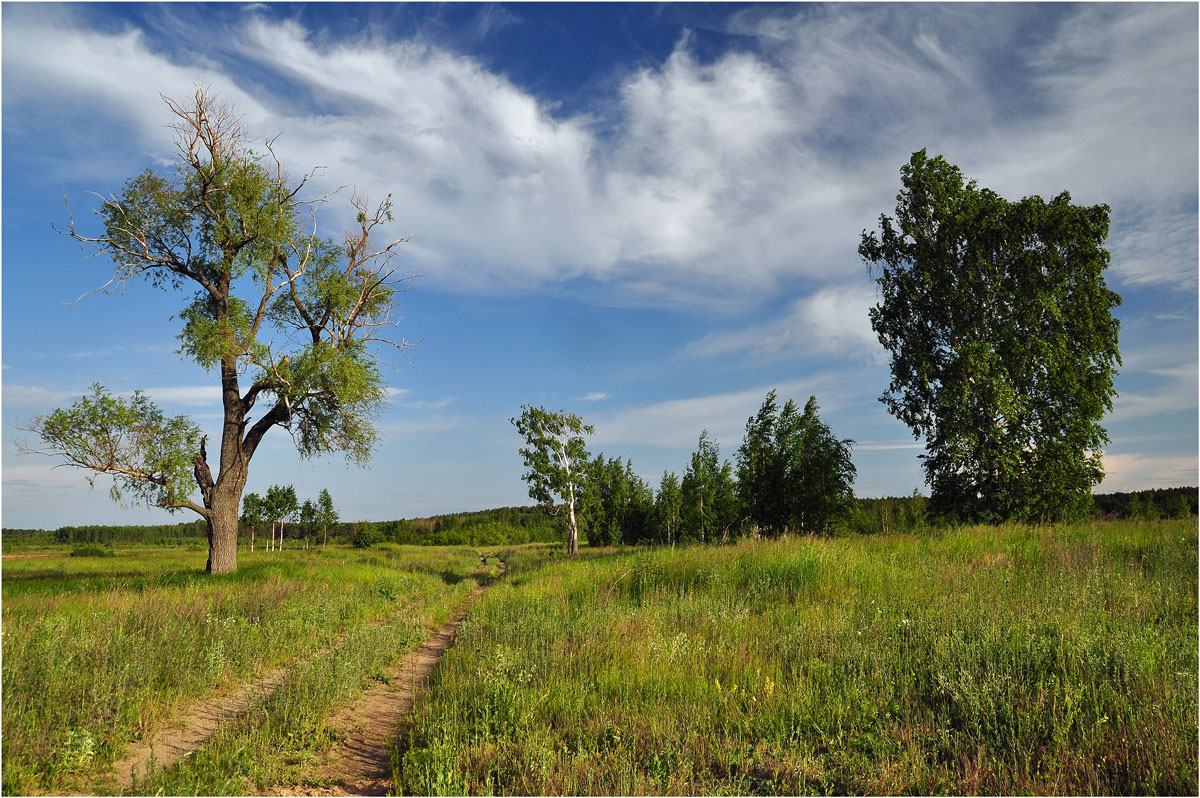 photo "***" tags: landscape, clouds, summer