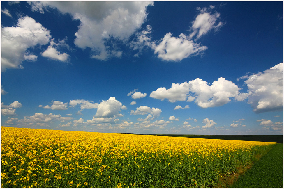 photo "Spring afternoon" tags: landscape, clouds, field, sky, spring