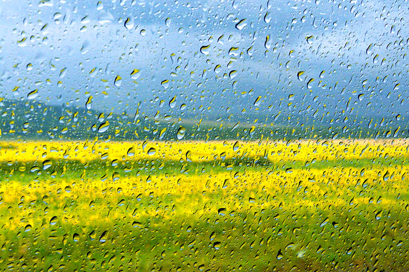 фото "Summer rain" метки: пейзаж, абстракция, капля, лето
