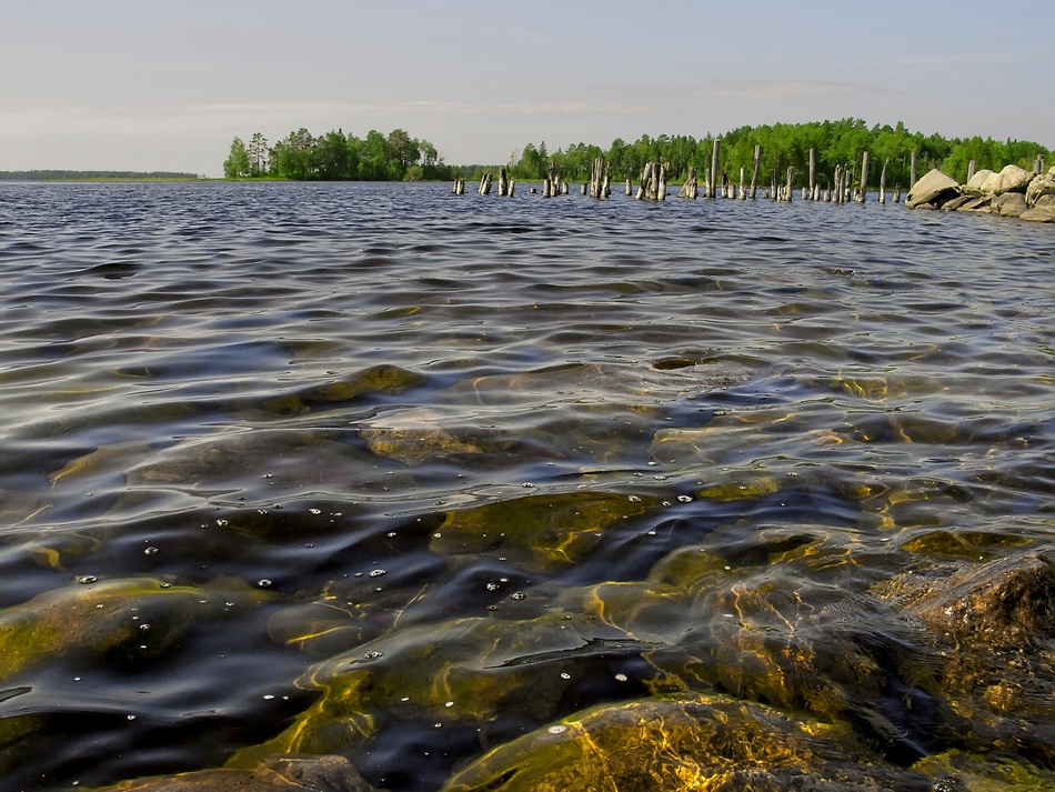 photo "***" tags: landscape, summer, water