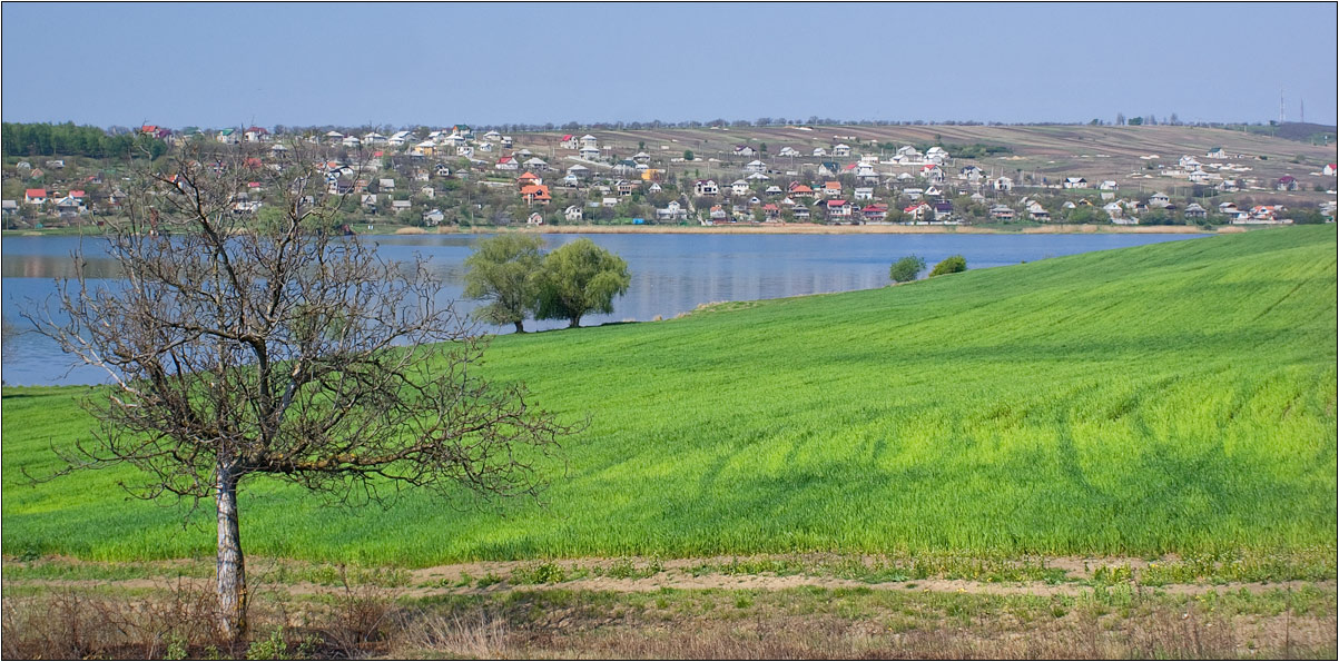 photo "***" tags: landscape, summer