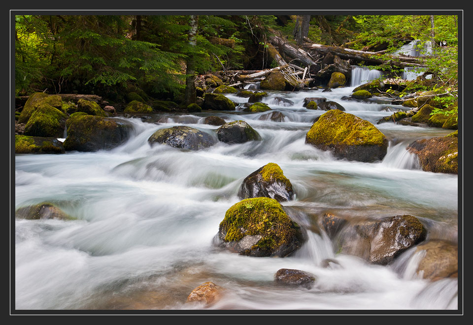 photo "Rocks, moss, and milk.." tags: , 