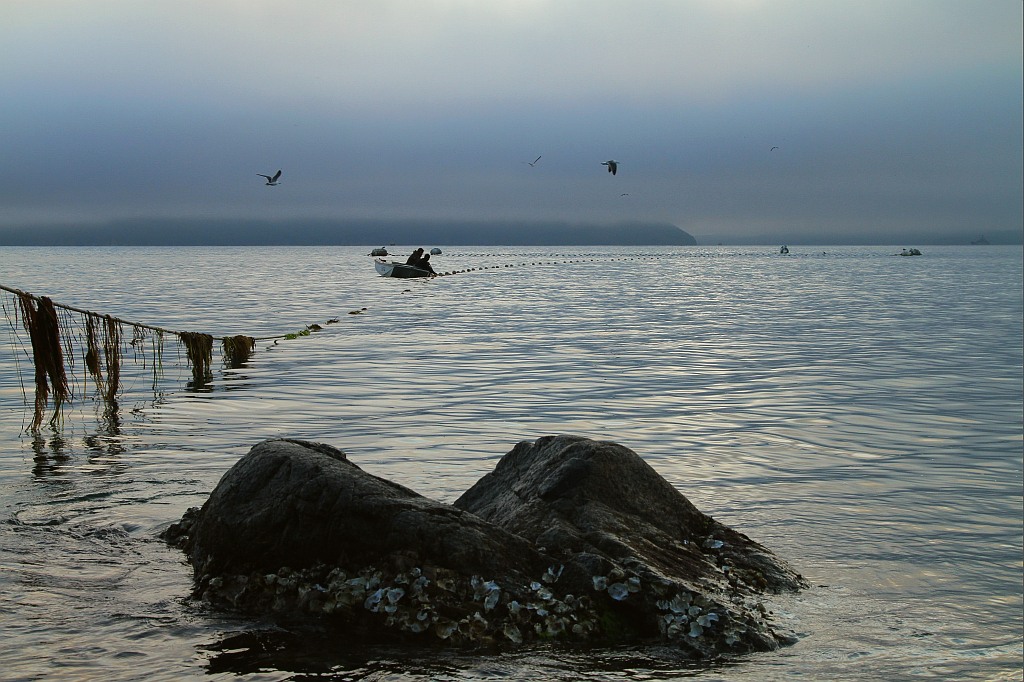 photo "***" tags: landscape, water