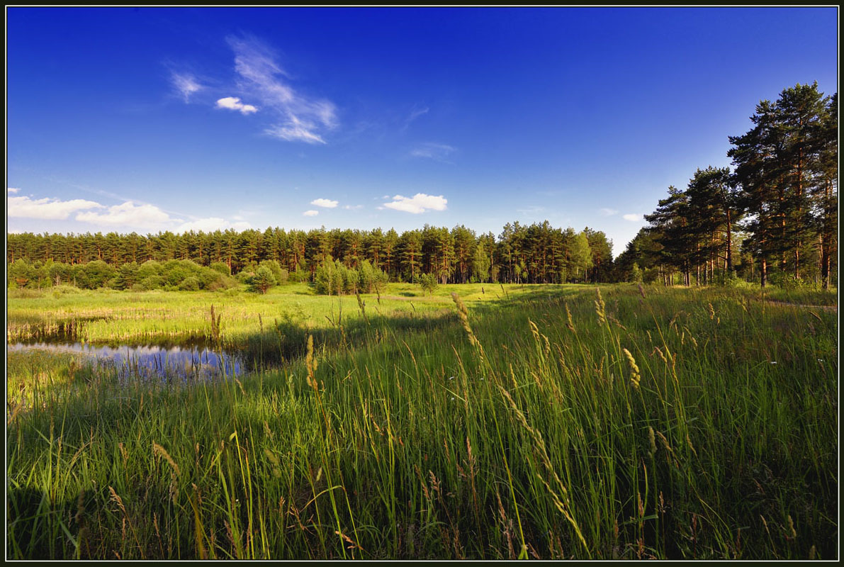 photo "***" tags: landscape, summer