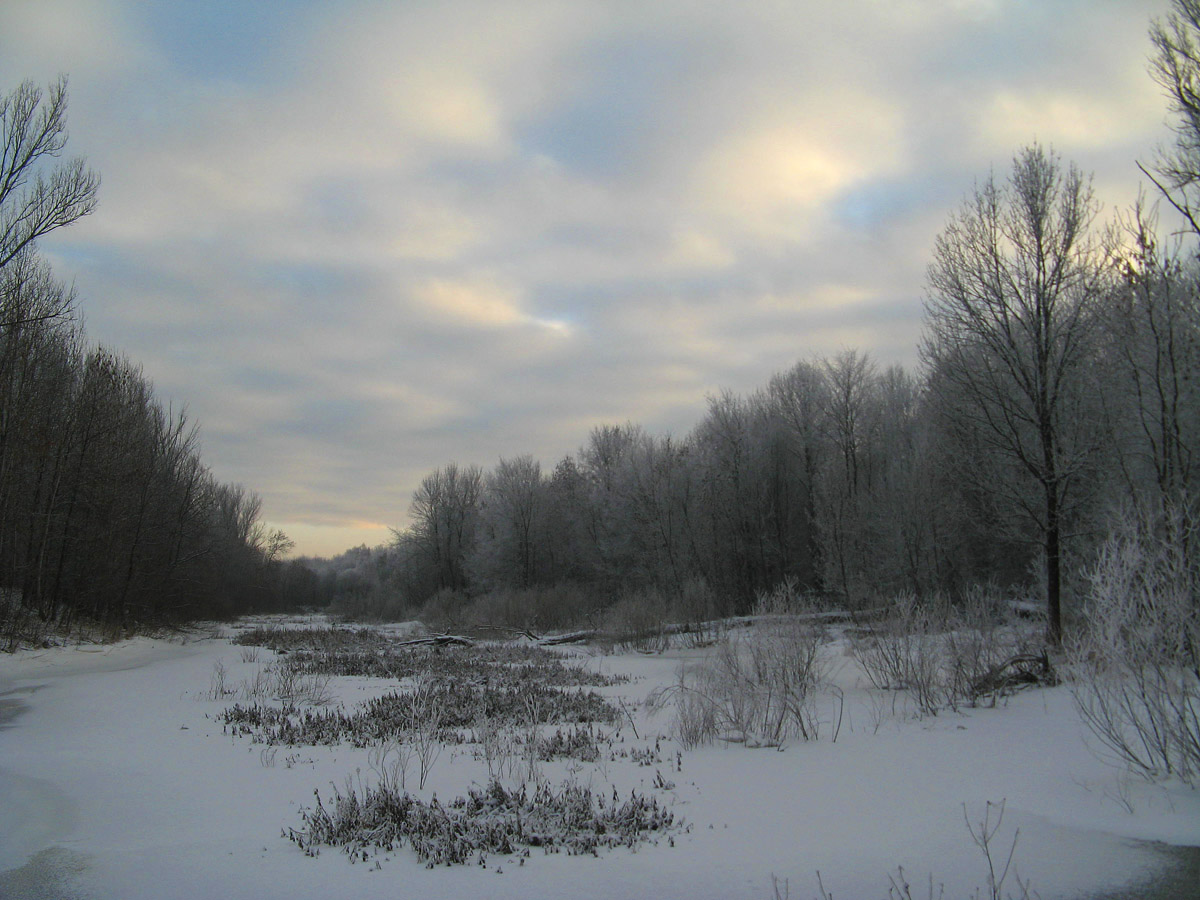 фото "Декабрьский вечер" метки: пейзаж, зима, лес