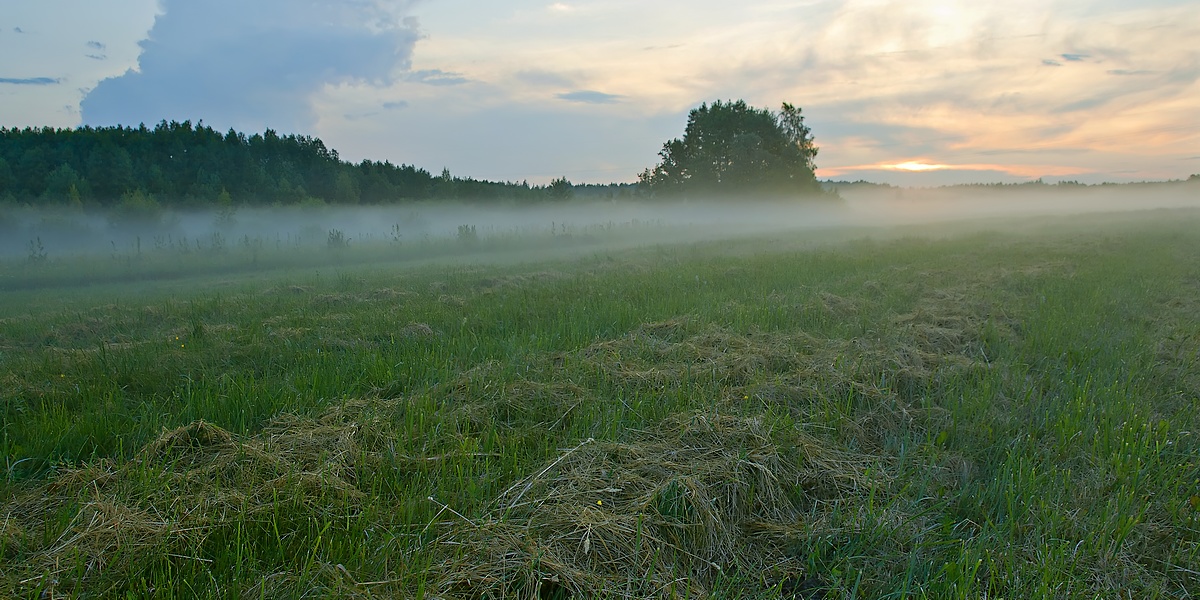 photo "***" tags: landscape, panoramic, summer