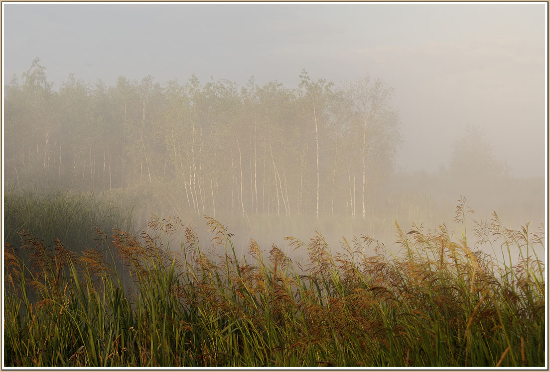 photo "Silence" tags: landscape, summer, water