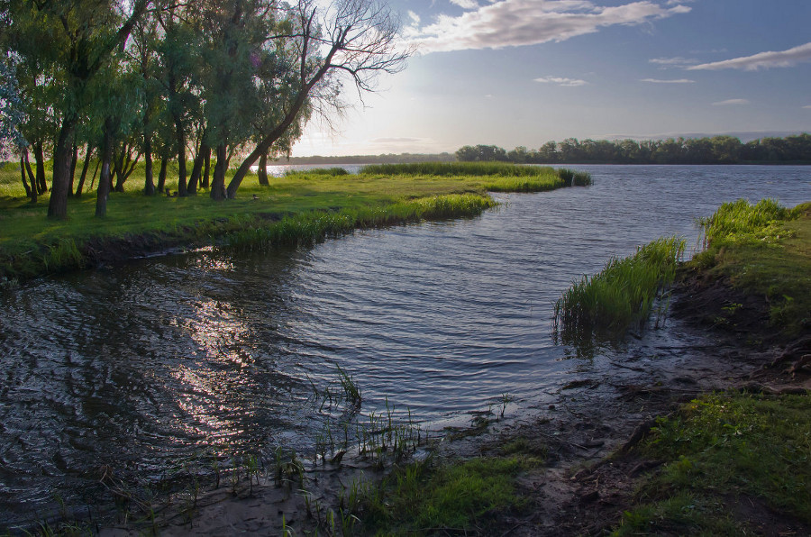 фото "у Днепра" метки: пейзаж, вода, лето