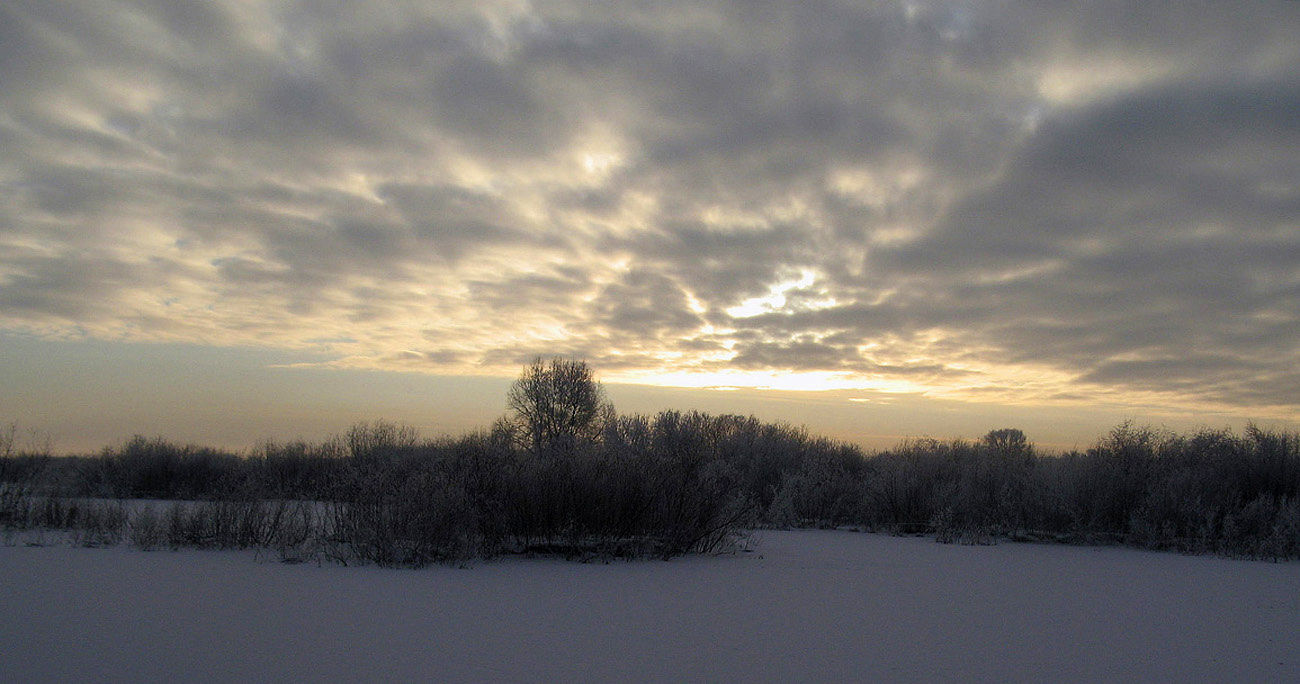 photo "December. Sunset." tags: landscape, forest, sunset