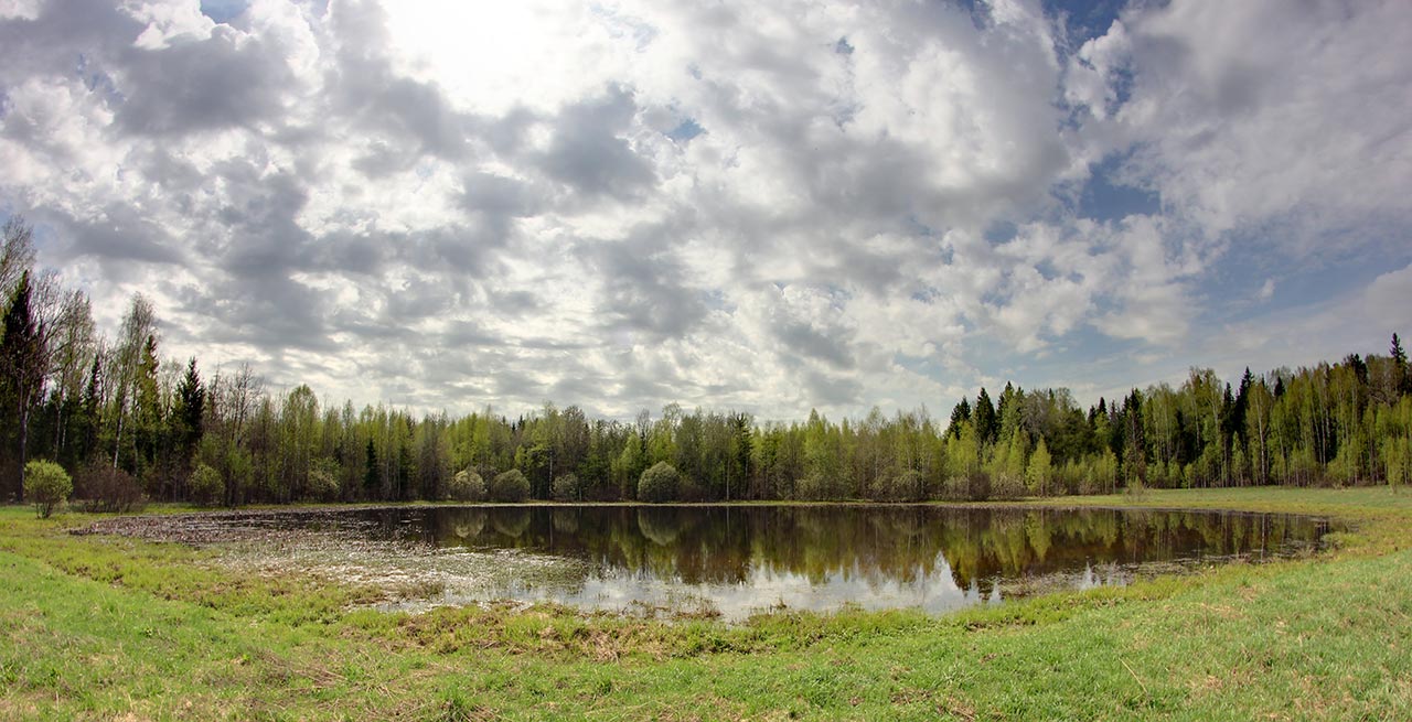 photo "Lake in the Forest" tags: landscape, forest, water