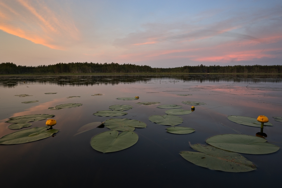 photo "***" tags: landscape, sunset