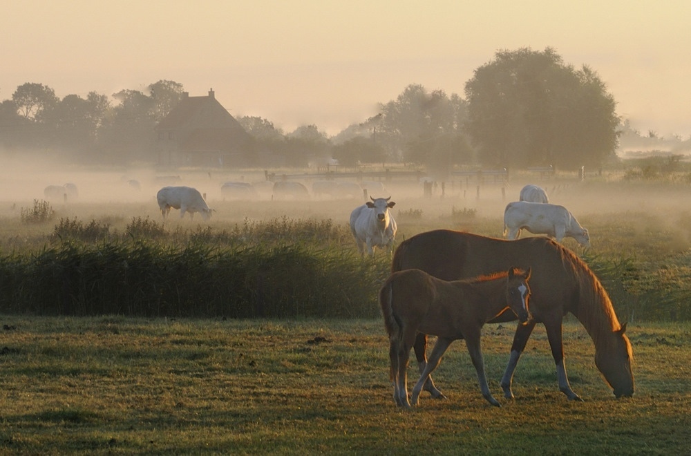 photo "***" tags: , 