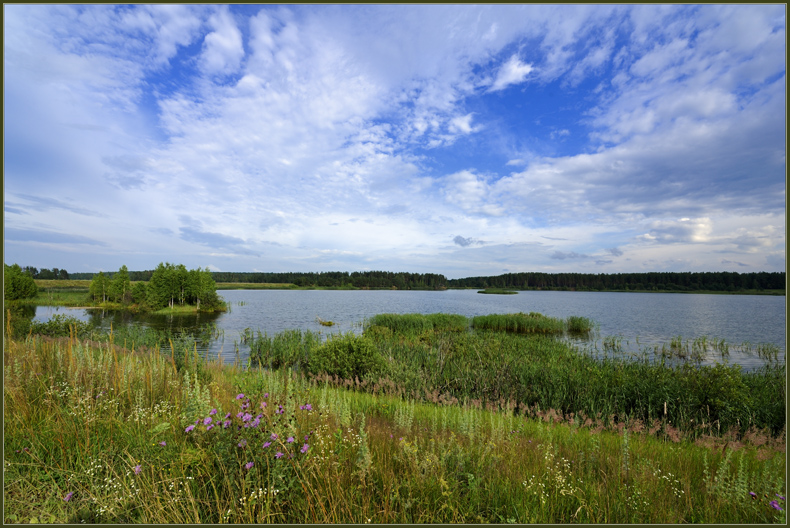 фото "На озере" метки: пейзаж, лето