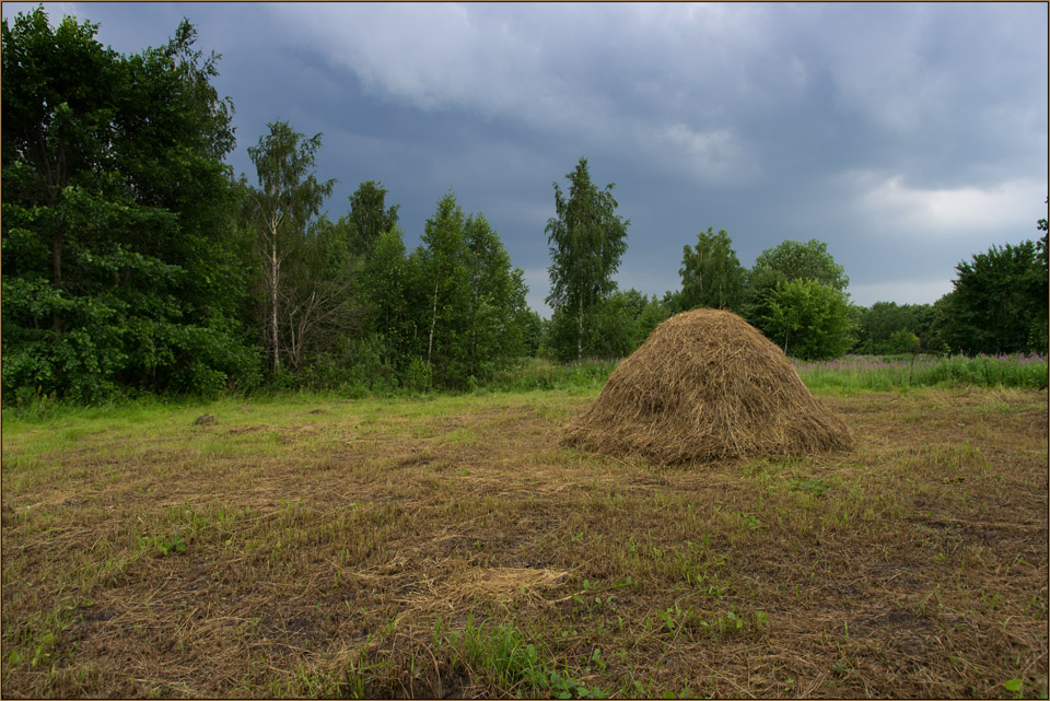 photo "July. Before thunderstorm." tags: landscape, forest