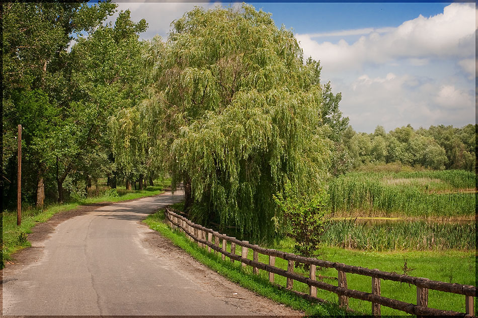 photo "Сountryroad" tags: travel, nature, 